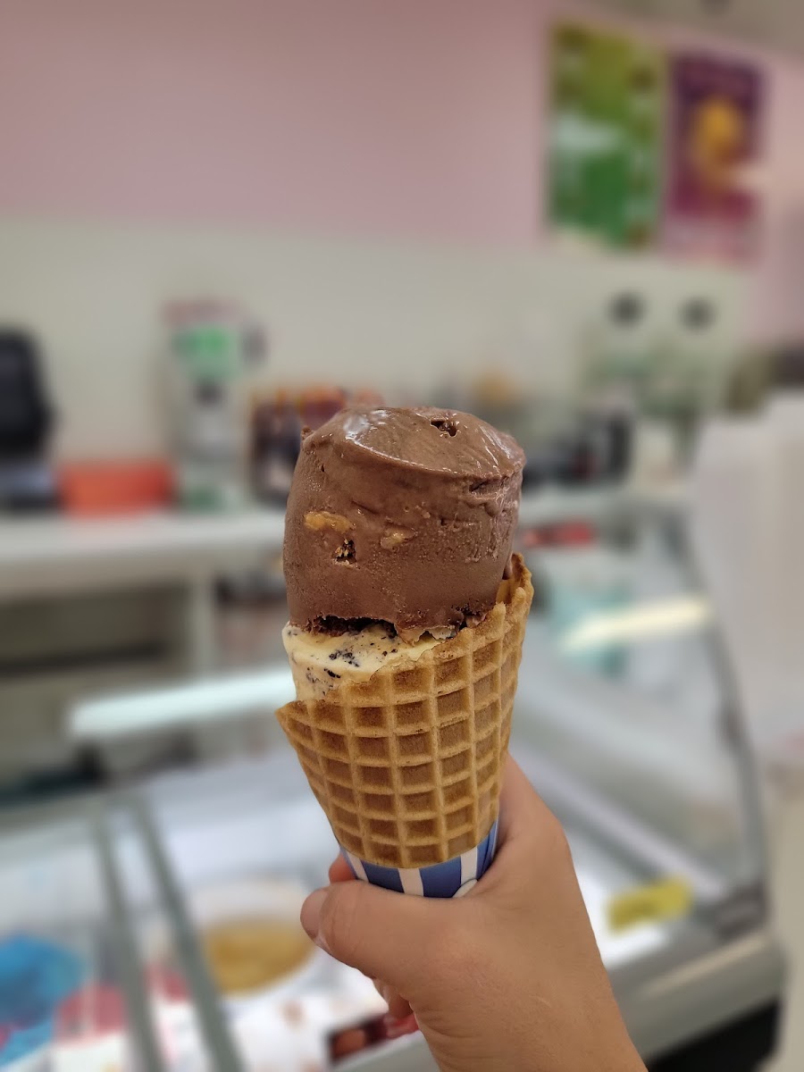 Scoops Photo 5