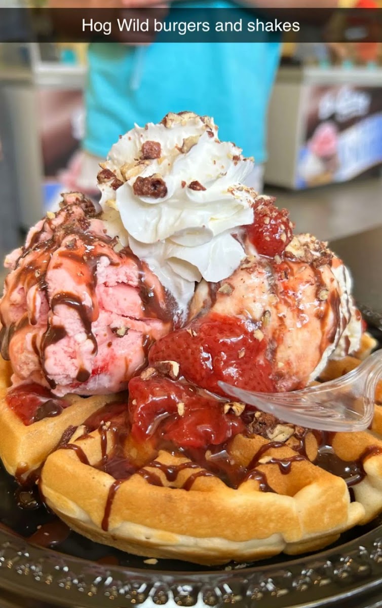Hog Wild Burgers Shakes Photo 3