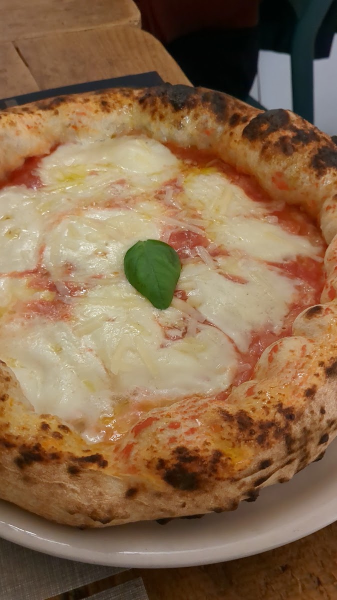 Partenope Photo 2