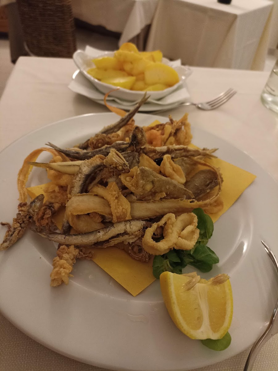 Il Pappagallo Photo 6