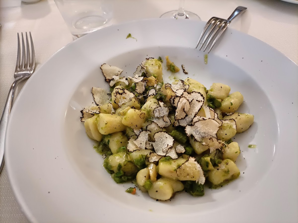 Il Pappagallo Photo 9