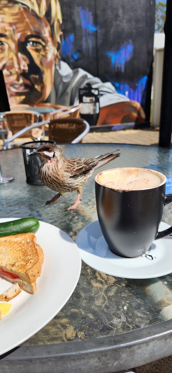 Violet Town Cafe Photo 10