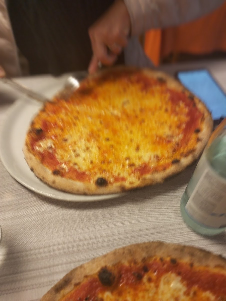 Ristorante Pizzeria Il Nido Photo 5
