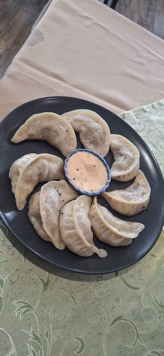 T Dolma momo Photo 4