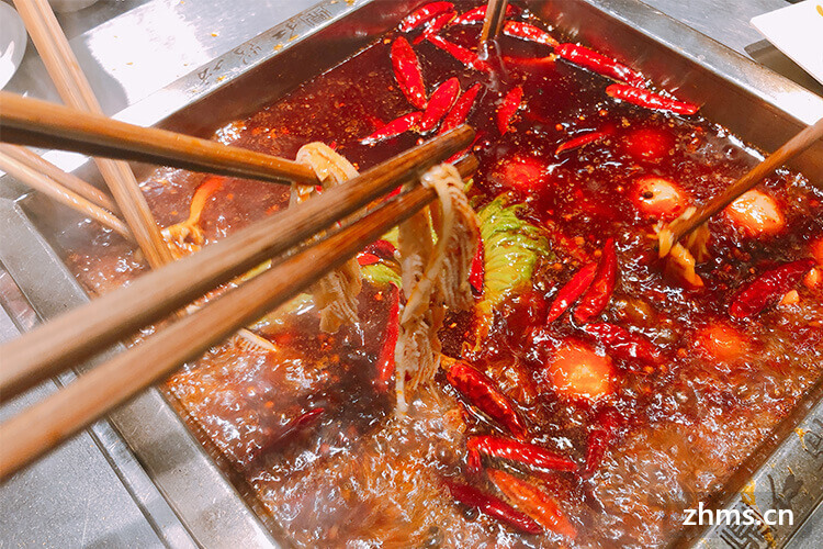 Cheng Du Steamboat成都火锅 Photo 5