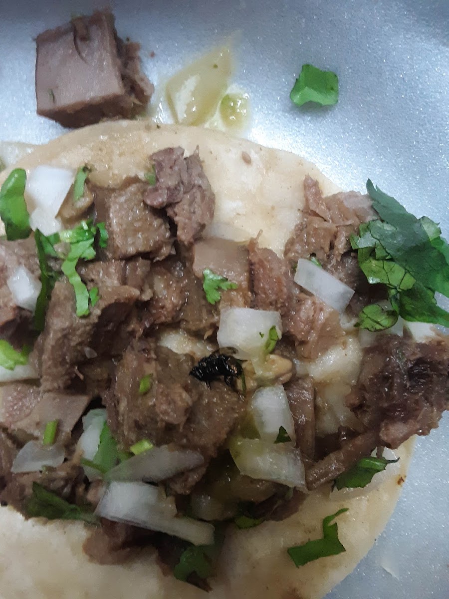 Tacos Xavi Photo 10