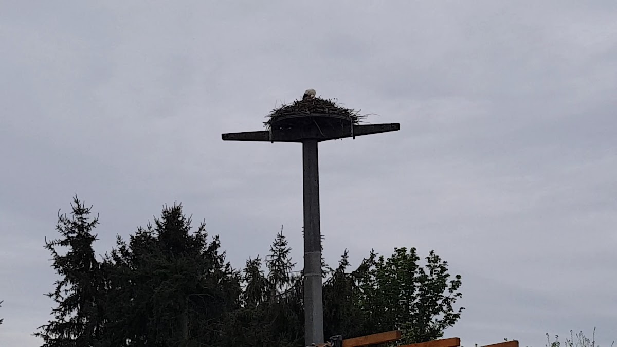 Bistrorante zum Storchennest Photo 2