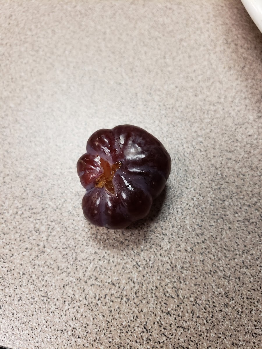 College of the Ozarks Cafeteria Photo 5