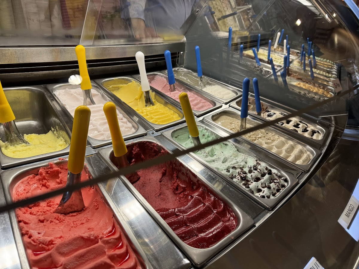 Gelateria Bella Roma Photo 3
