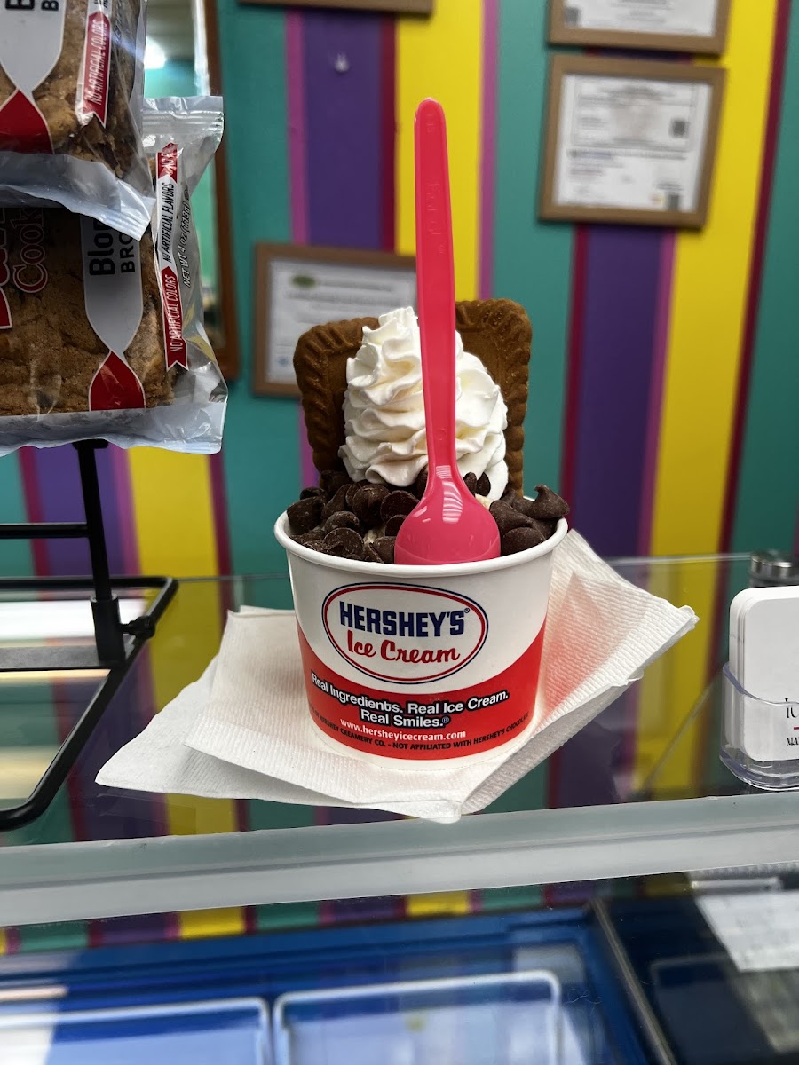 Ice Cream Laboratory 777 Photo 4