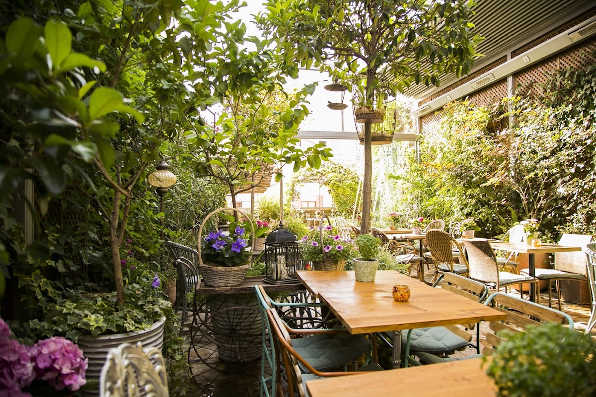 Garden of Salvador Bachiller