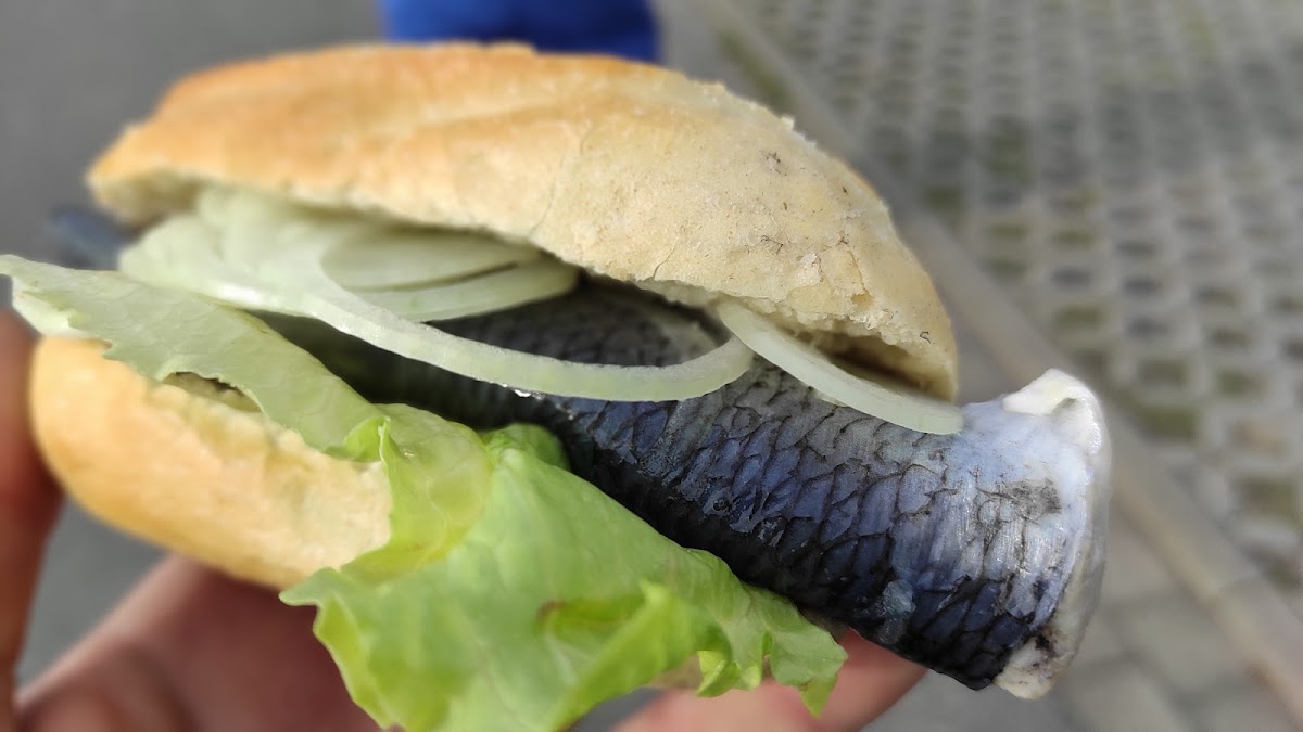 Fischkutter „Kumm wedder“ Photo 10