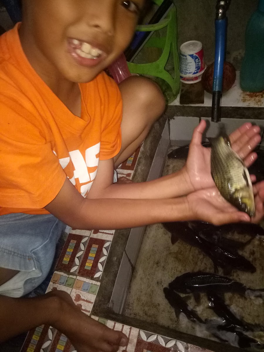 Warung Kopi Titi Photo 4