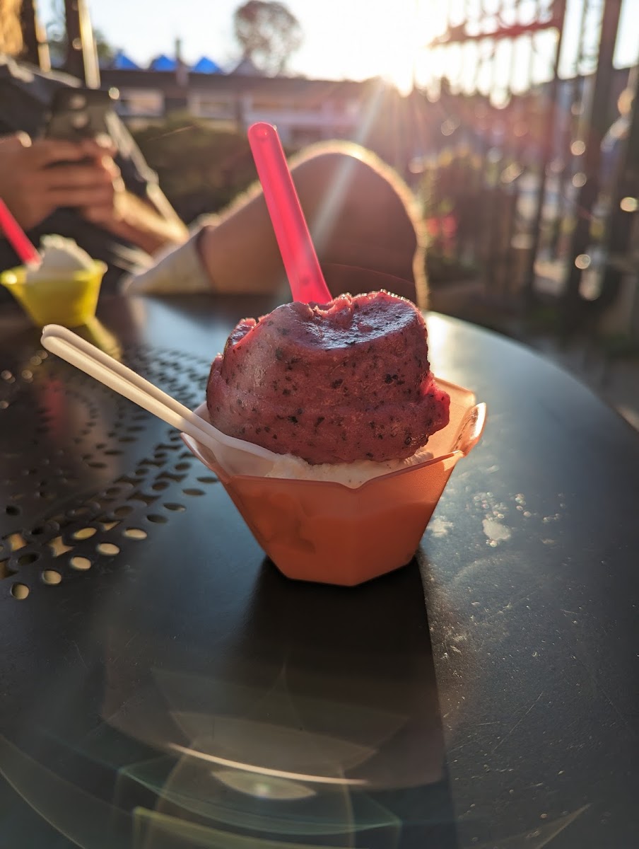 Sonny's Ice Cream Cafe Photo 9