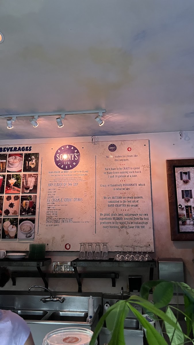 Sonny's Ice Cream Cafe Photo Menu 9