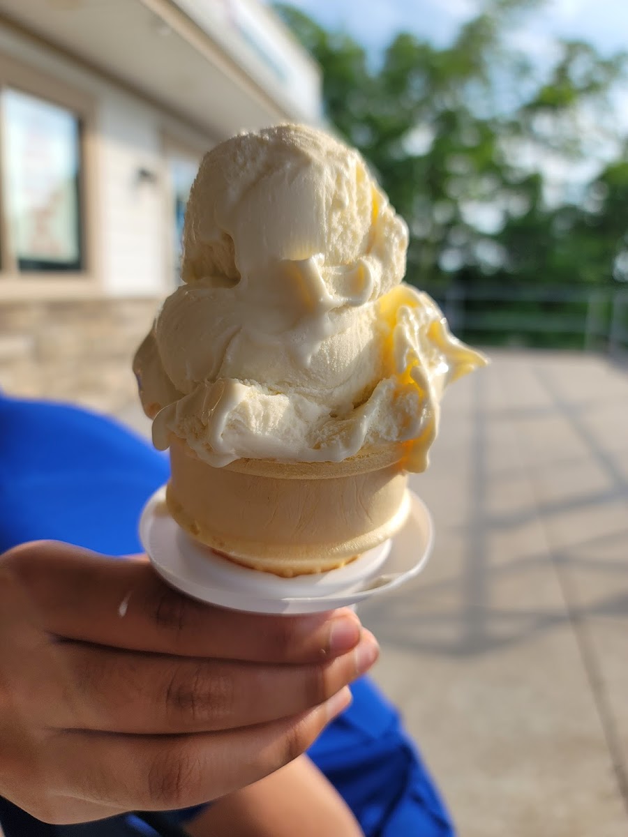 Hibbard's Custard Photo 10