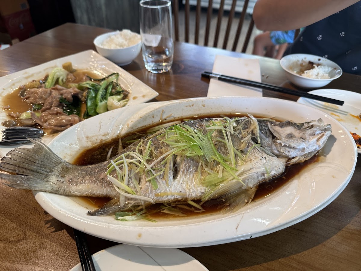 Northern Delicious 馨雅食府 Photo 7