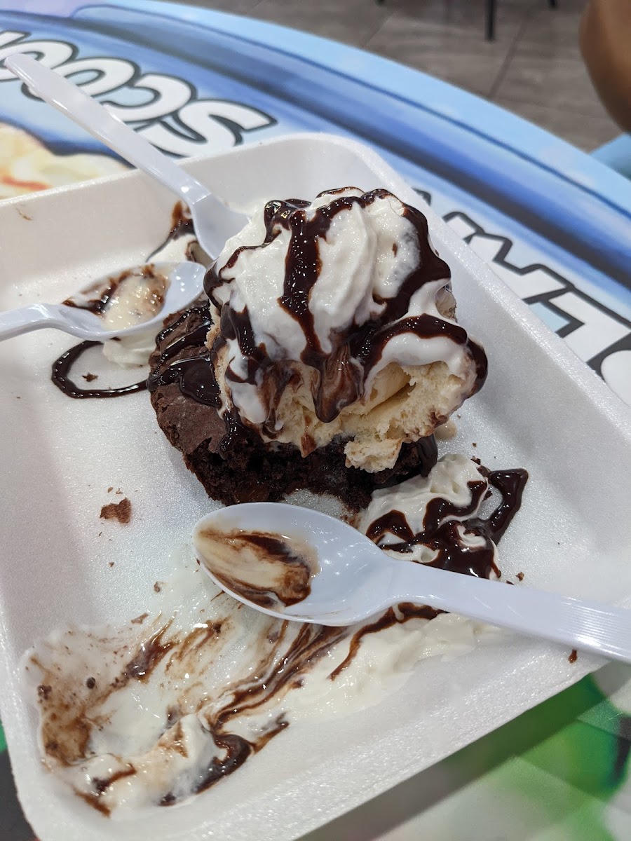 Island Scoop Photo 6