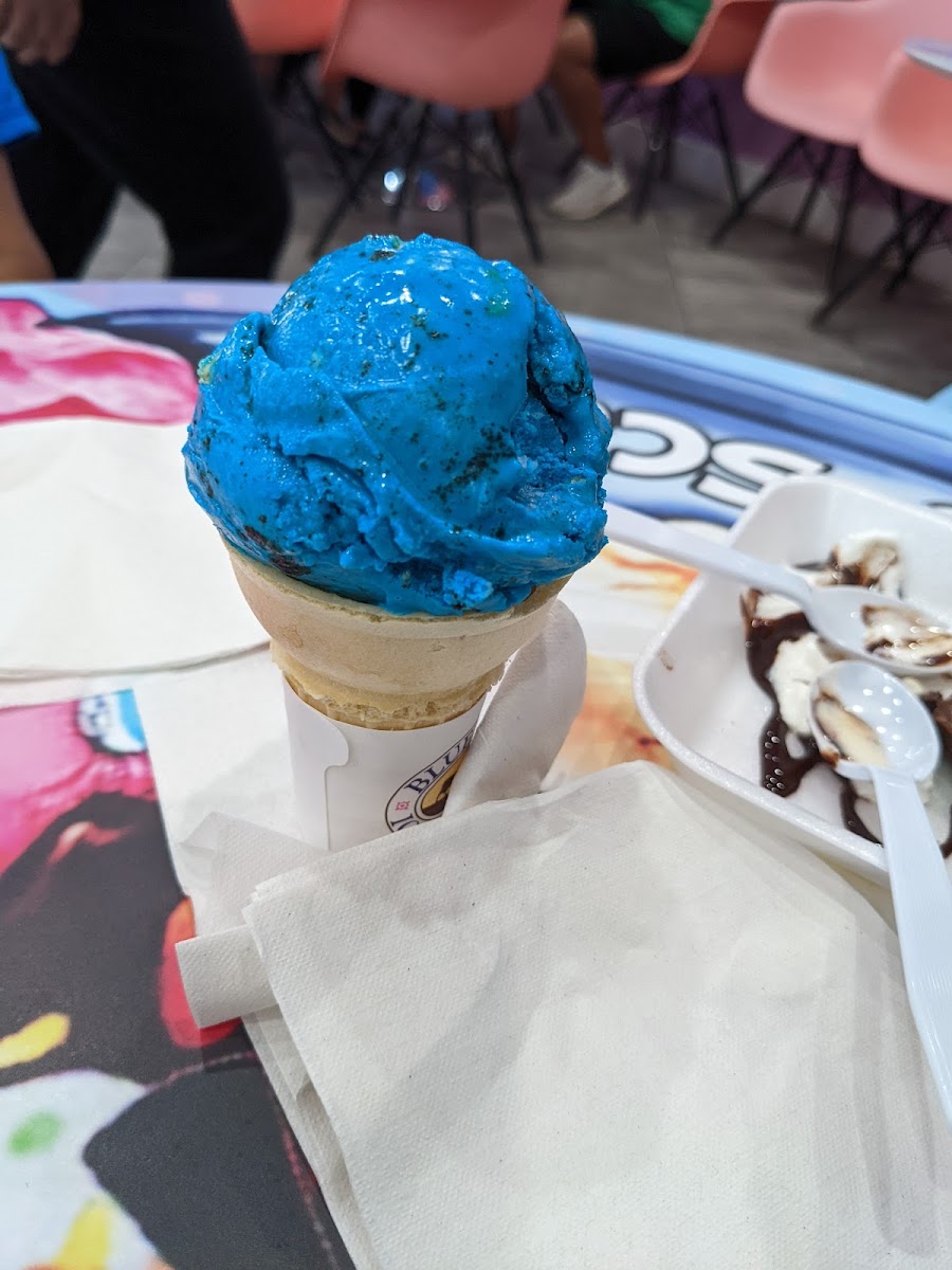 Island Scoop Photo 7