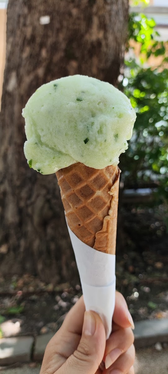 Natura Gelato Photo 6