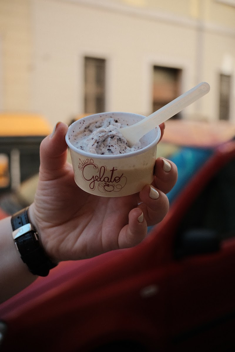 Natura Gelato Photo 7