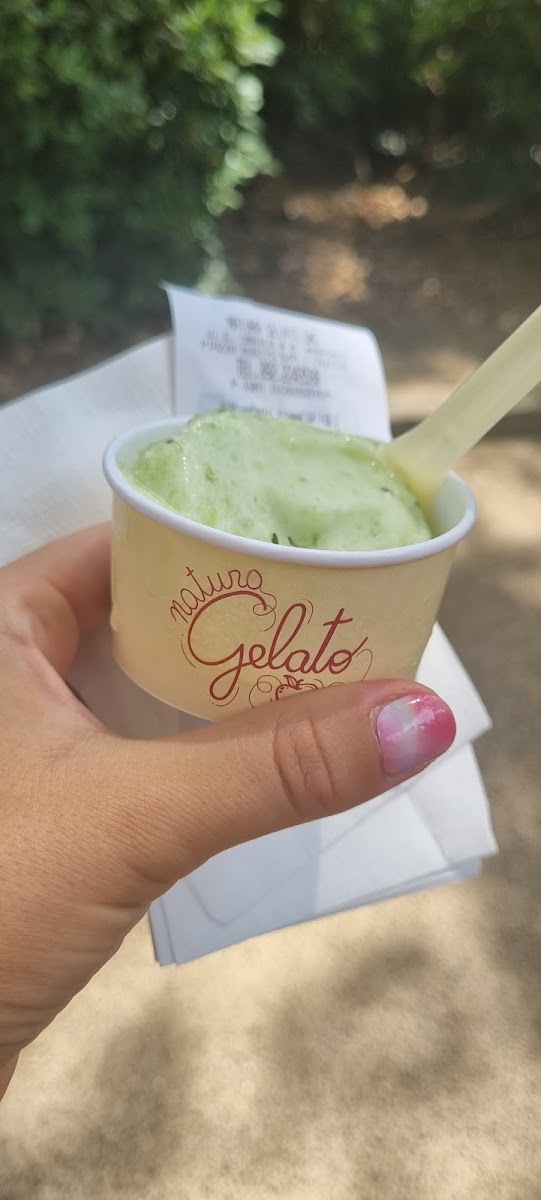 Natura Gelato Photo 8