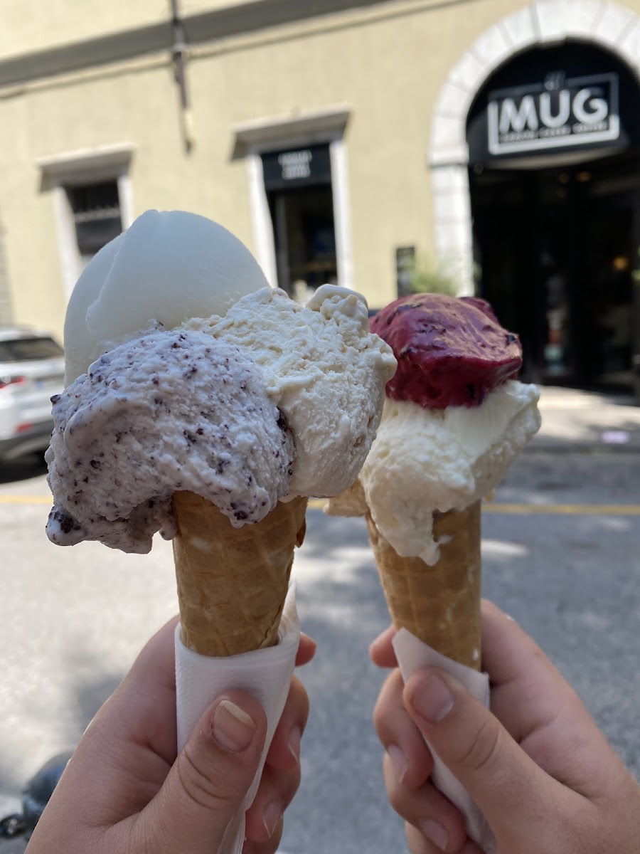 Natura Gelato Photo 9