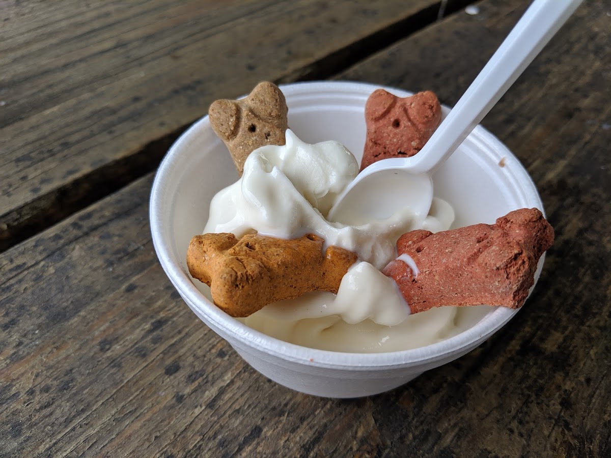 Tiger Treats Photo 5