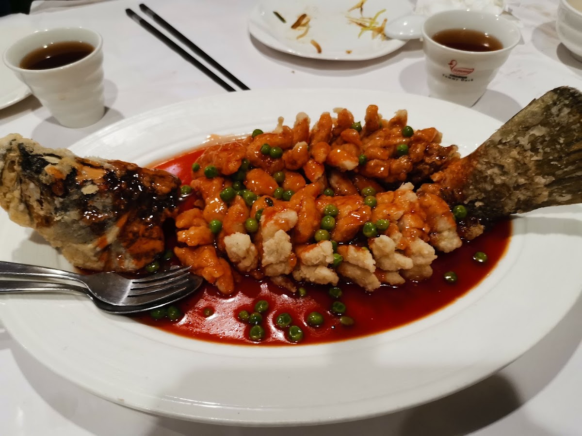 Yummy Duck Chinese Restaurant Photo 7