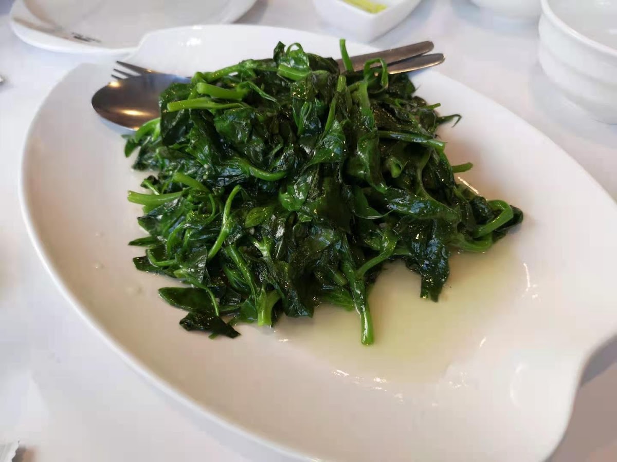 Yummy Duck Chinese Restaurant Photo 9