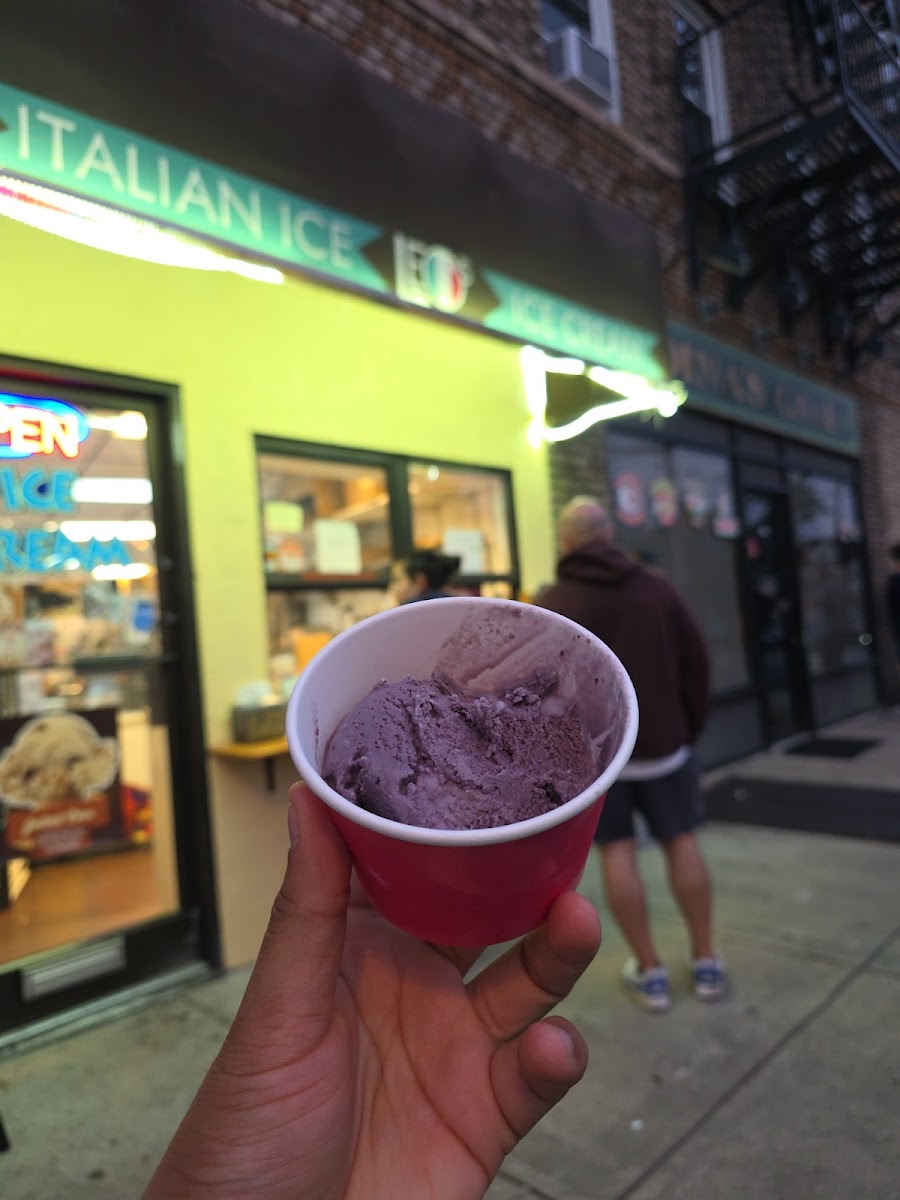 Leo's Italian Ice & Ice Cream Photo 10