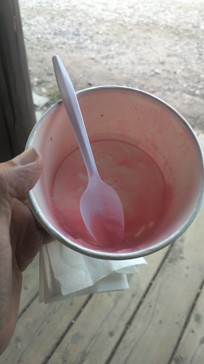 Ida Mays Ice Cream Photo 9