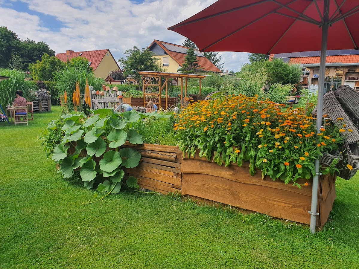 Café Küchenhof Seeland Photo 4