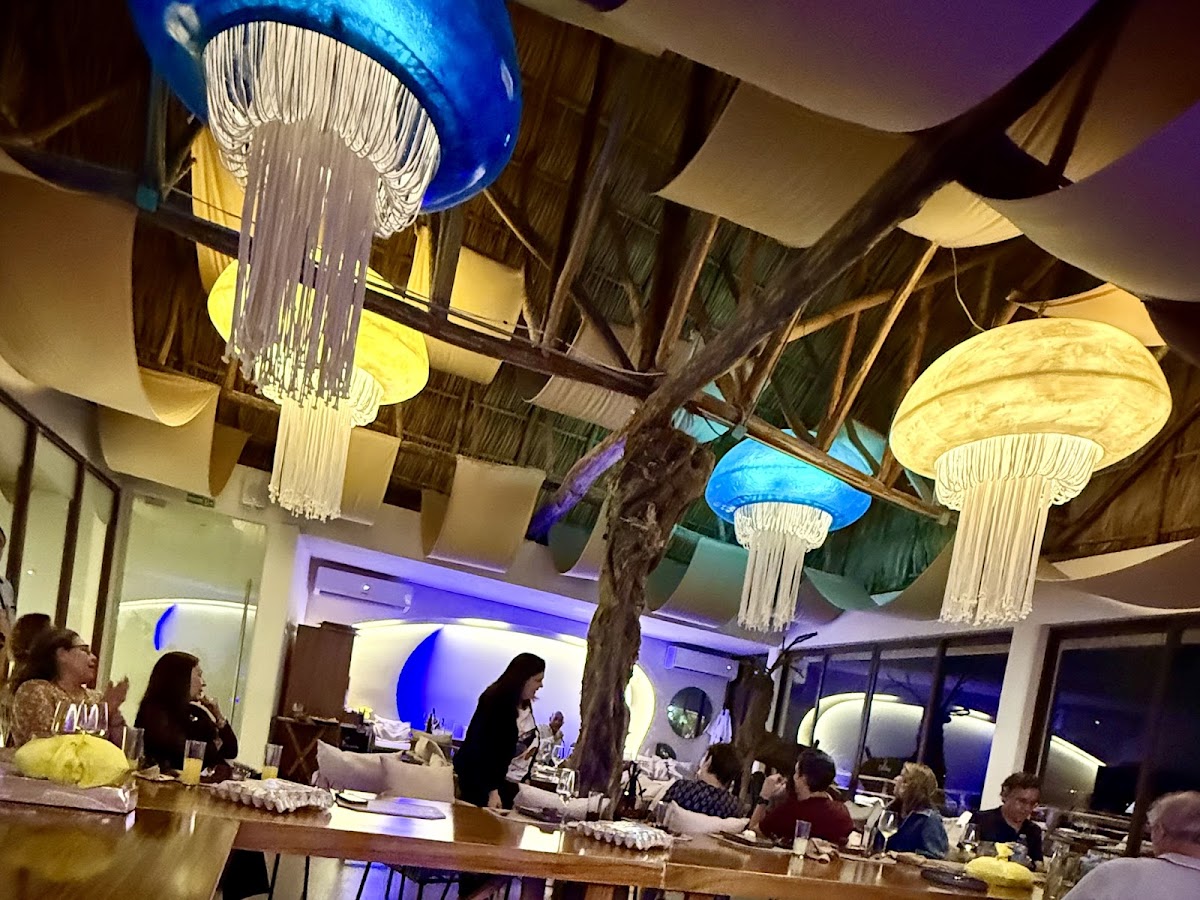 El Rey del Ceviche Oyster Style Bar