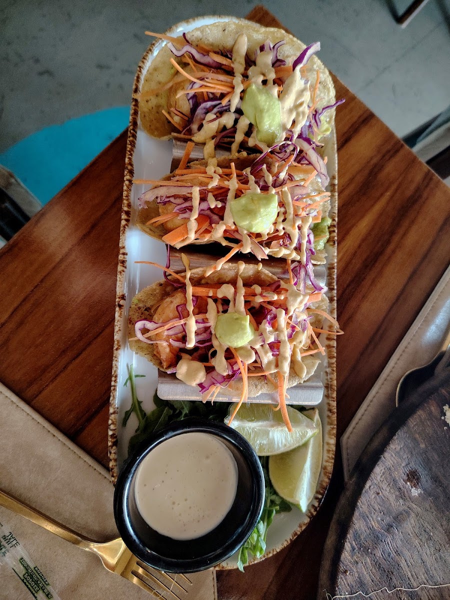 El Rey del Ceviche Oyster Style Bar Photo 5