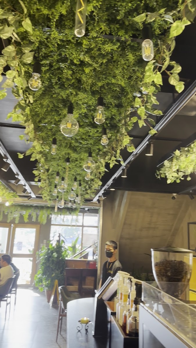 Jungle Brew Cafe and Resto Photo 2