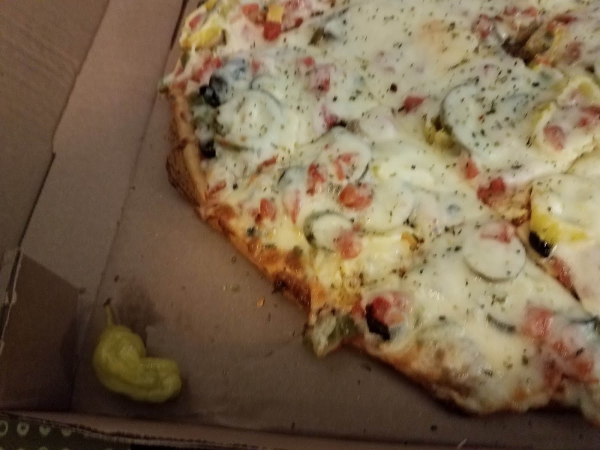 New Village Pizza Photo 8