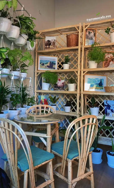 AROMO - plantas & café Photo 1