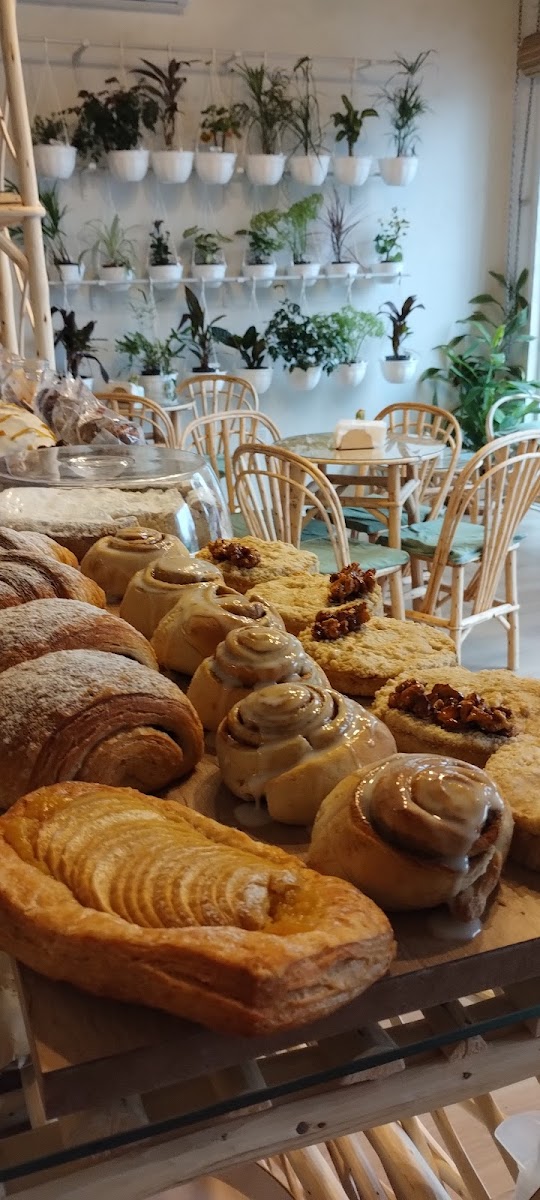 AROMO - plantas & café Photo 5