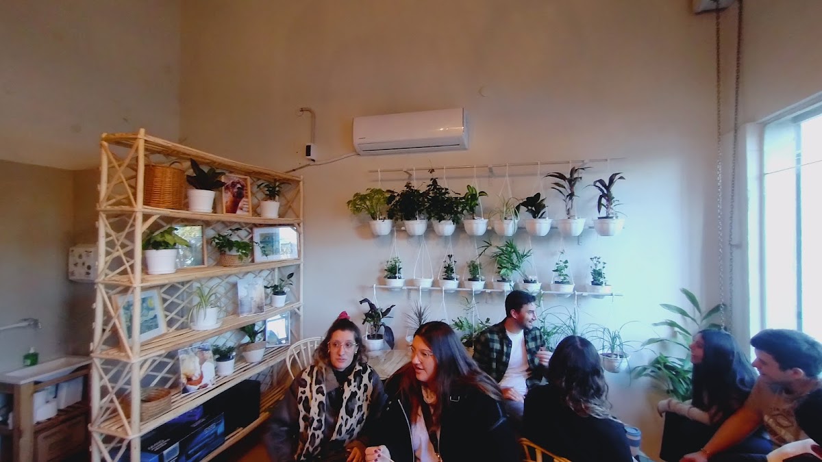 AROMO - plantas & café Photo 6