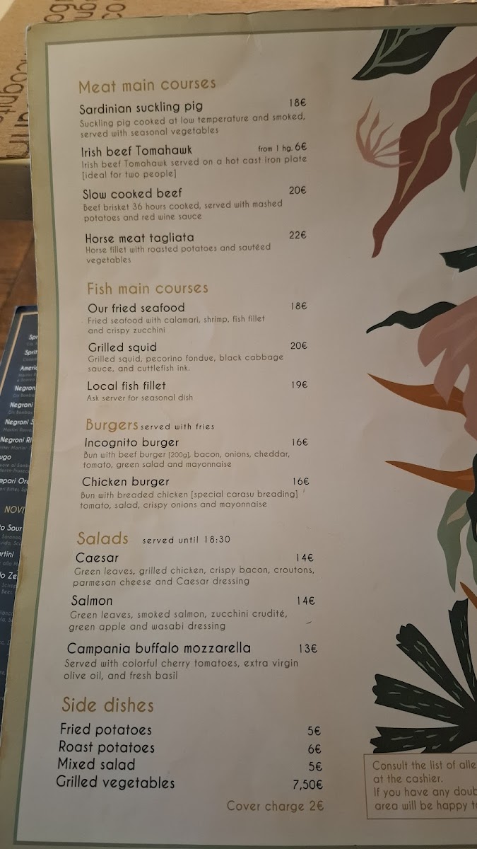 Incognito Photo Menu 10