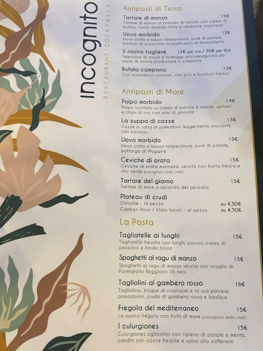 Incognito Photo Menu 6
