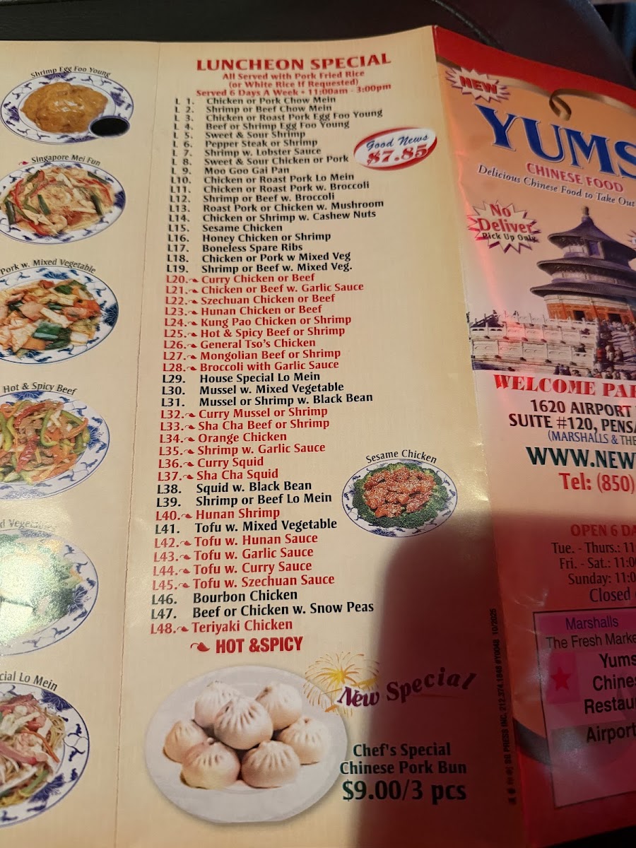 Yums Chinese Restaurant Photo Menu 7
