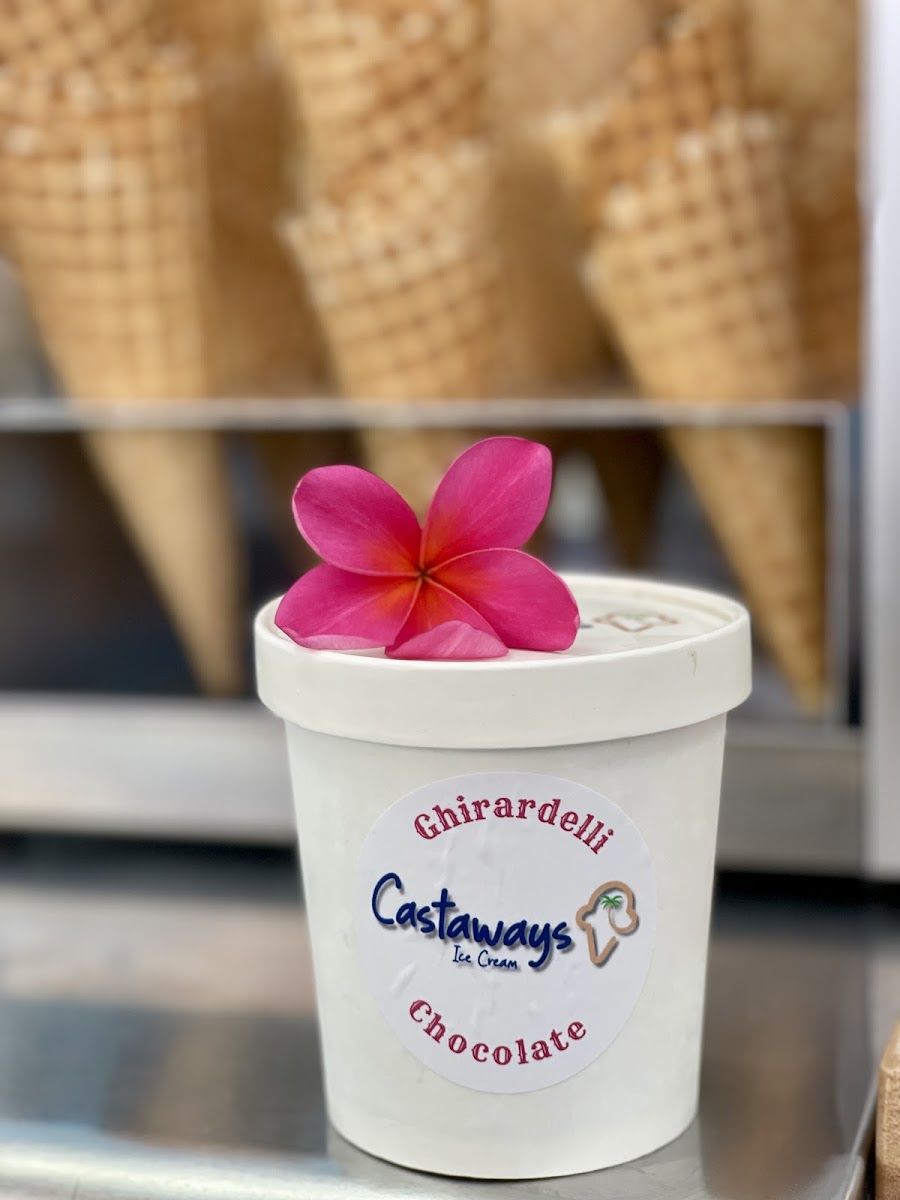 Castaways Ice Cream--Moiliili Photo 6