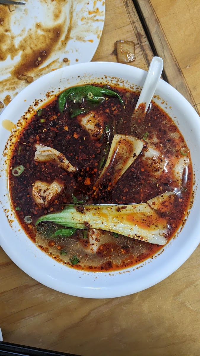 Dumpling & Noodle House Photo 9