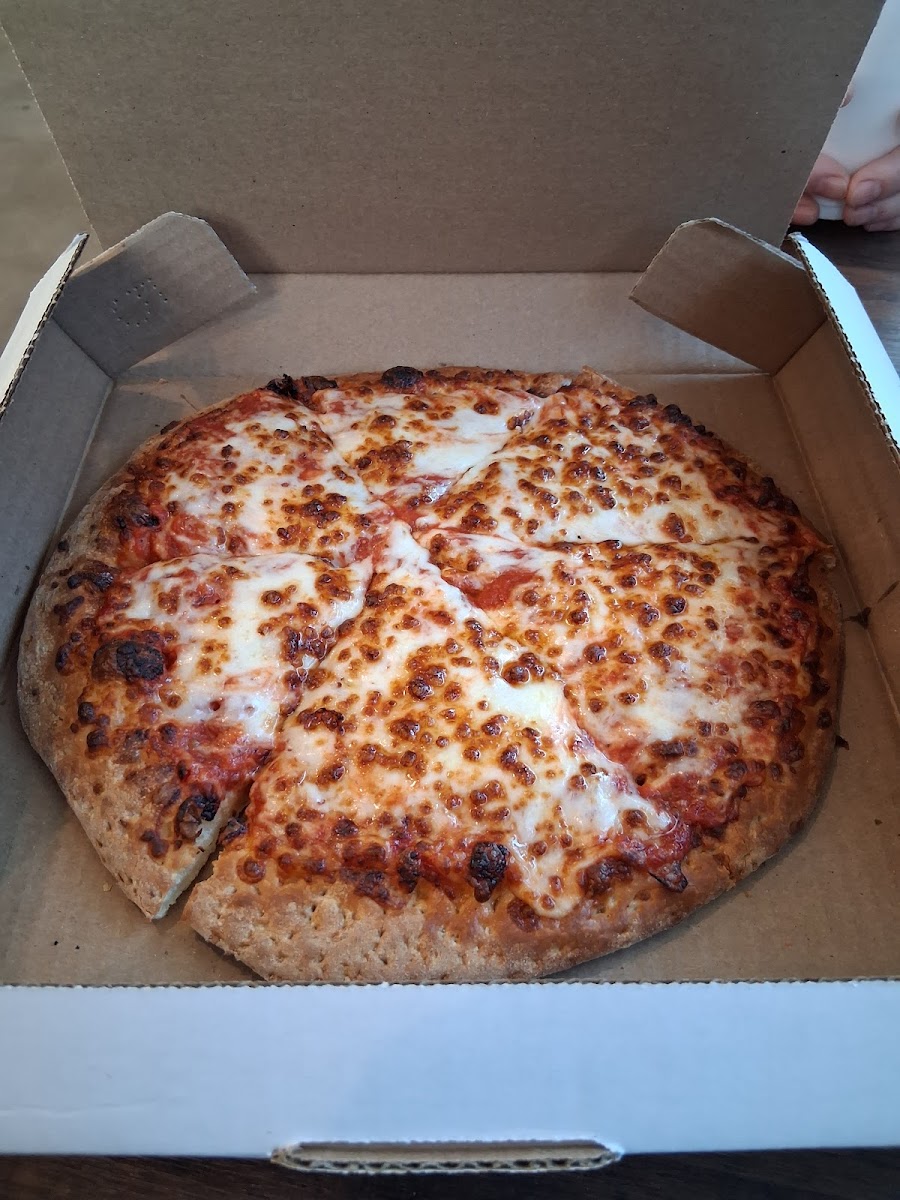 Pizza Shuttle Photo 3