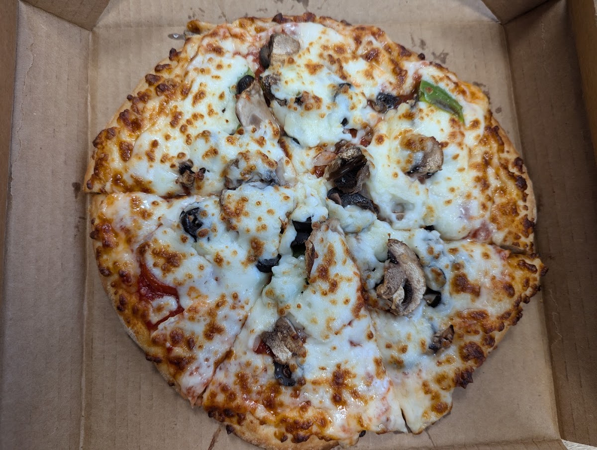 Pizza Shuttle Photo 5
