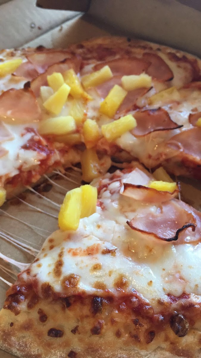 Pizza Shuttle Photo 7