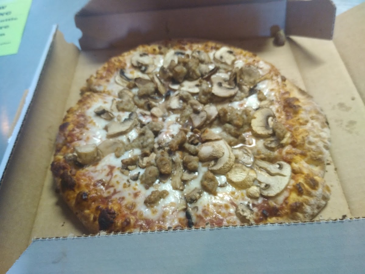 Pizza Shuttle Photo 8
