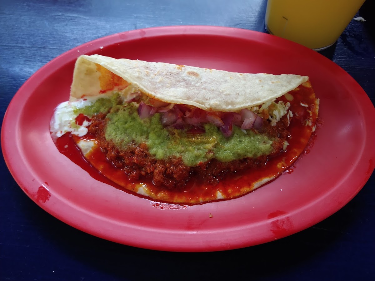 Quesadillas Tierra del Sol Photo 5